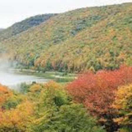 Small Town Hideaway Wyalusing Exterior foto